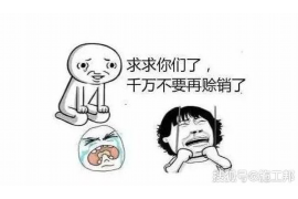 协助杨先生追讨女朋友欠债